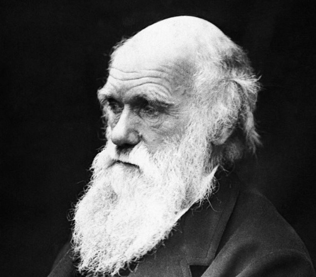 Darwin.JPG